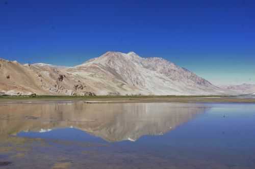 TREKKING IN LADAKH | CHANGTANG 2017